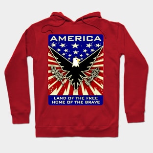 America: Land of the Free, Home of the Brave Hoodie